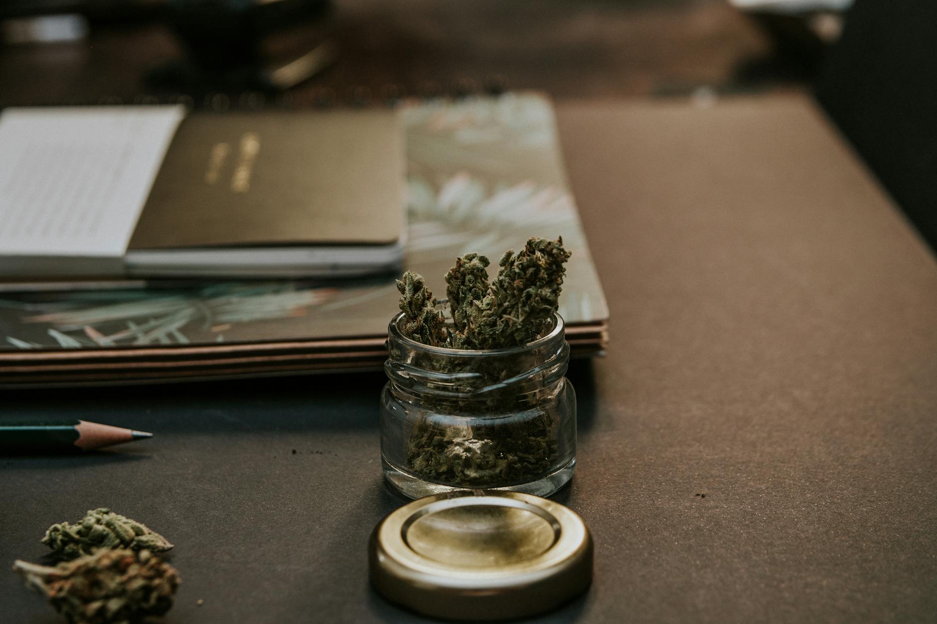 El Estado del Cannabis en Puerto Rico